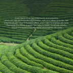 Green Tea Hydrating Toner